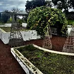 Quinta Do Bom Despacho Guest house 3*