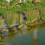 Quinta Do Bom Despacho Ponta Delgada (Sao Miguel)