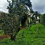 Quinta Do Bom Despacho Guest house