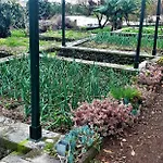 Quinta Do Bom Despacho 3*
