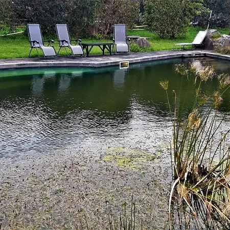 Quinta Do Bom Despacho Penzion