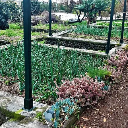 Quinta Do Bom Despacho 3*