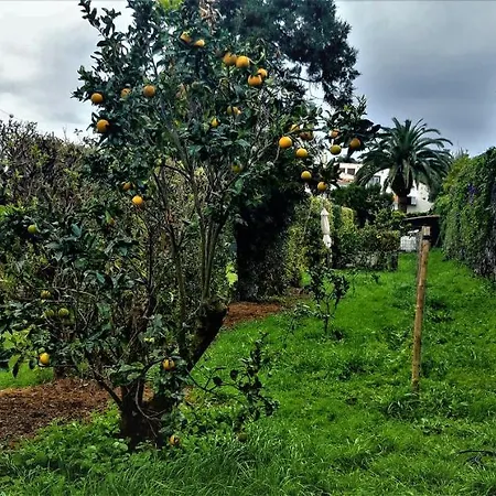 Quinta Do Bom Despacho בית הארחה