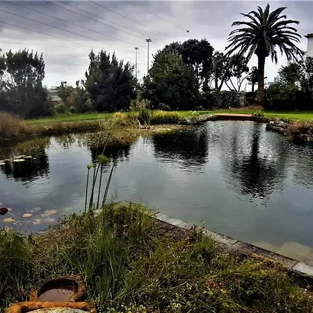 Quinta Do Bom Despacho 3* Ponta Delgada