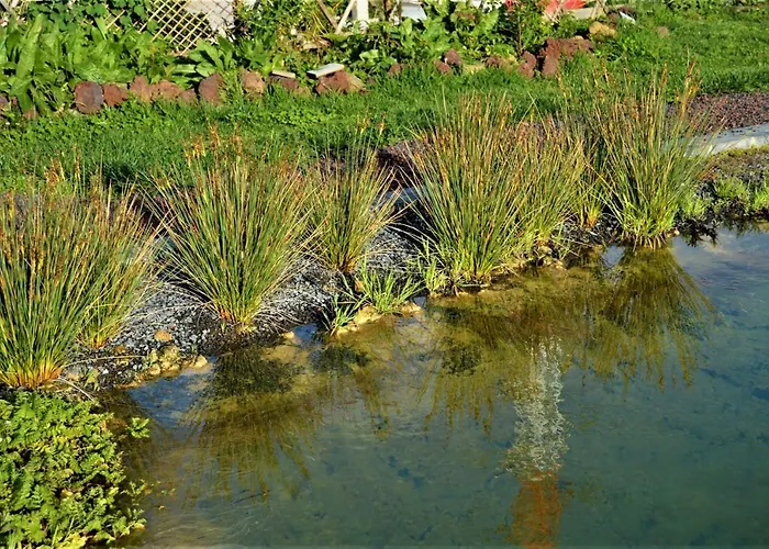 Quinta Do Bom Despacho Ponta Delgada