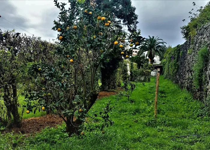 Quinta Do Bom Despacho Guest house