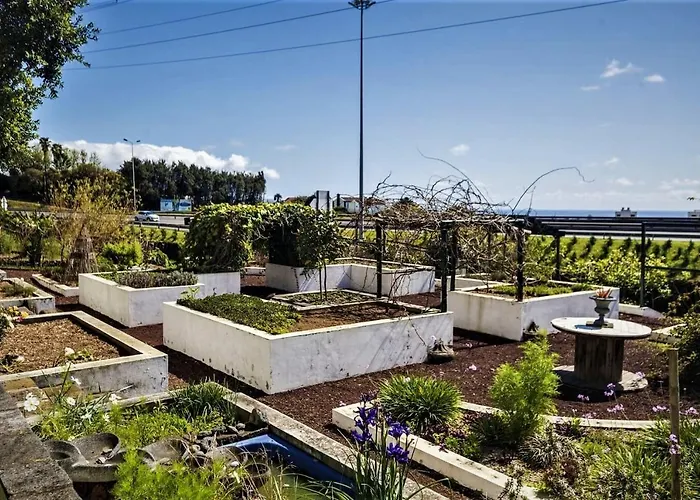 Quinta Do Bom Despacho Pensión