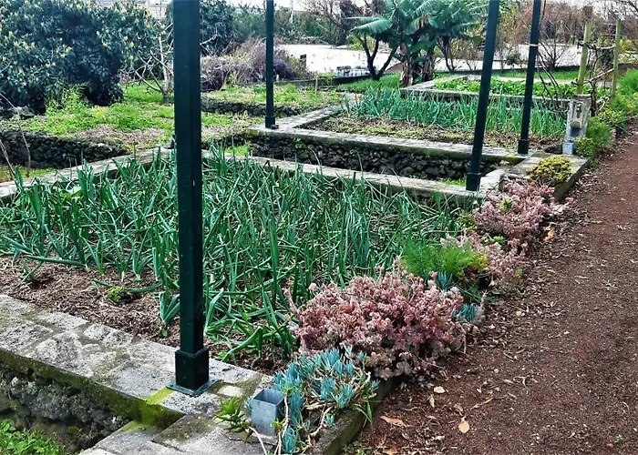 Quinta Do Bom Despacho 3*