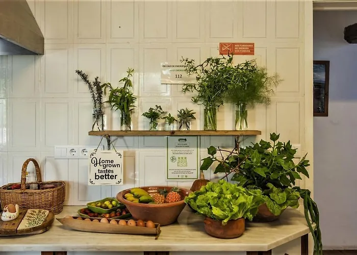 Pensión Quinta Do Bom Despacho Ponta Delgada